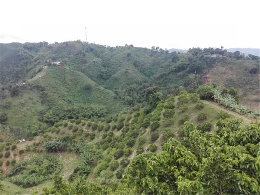 Finca en venta en La plata, Palestina