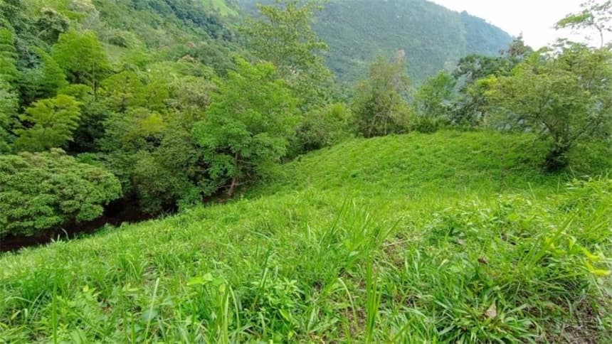 Finca en venta en Volcan, Bituima
