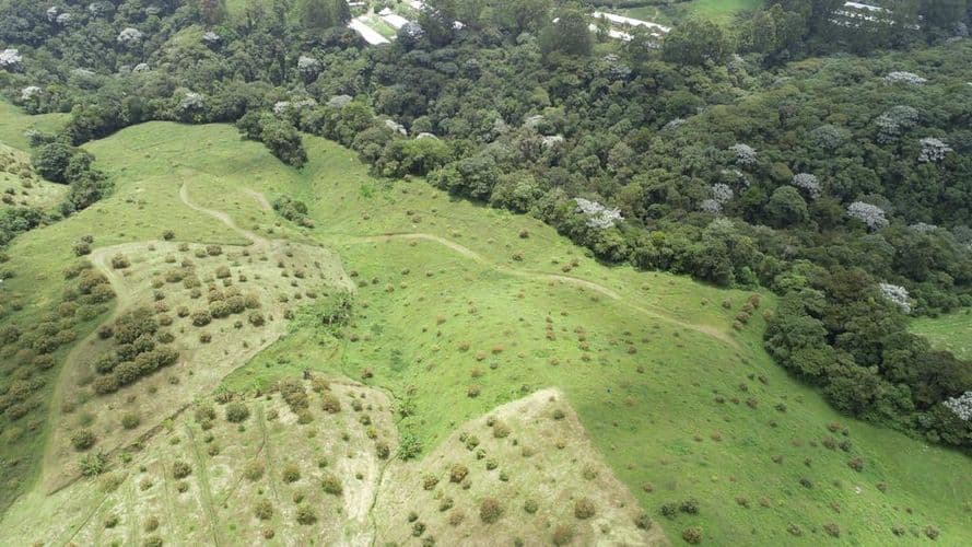 Finca en Venta en Quindio, Circasia - Imagen 1