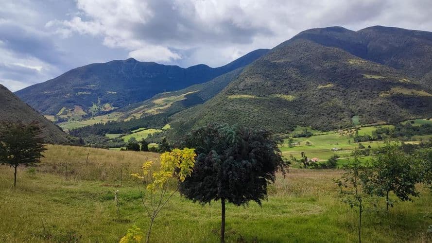 Finca en Venta en Carrizal, Chiquiza - Imagen 1