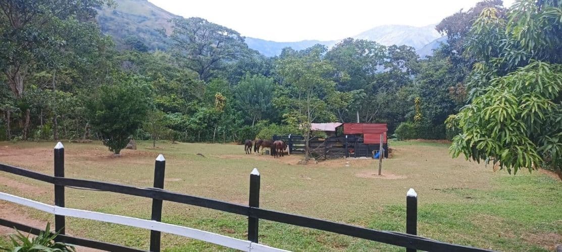 Finca en Venta en Sitio viejo, Titiribí - Imagen 1