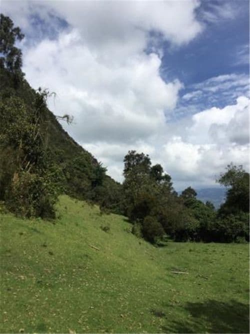 Finca en Venta en Galdamez, Subachoque - Imagen 1
