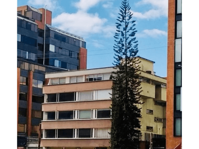 Apartamento en Venta en El chico, Bogotá - Imagen 1