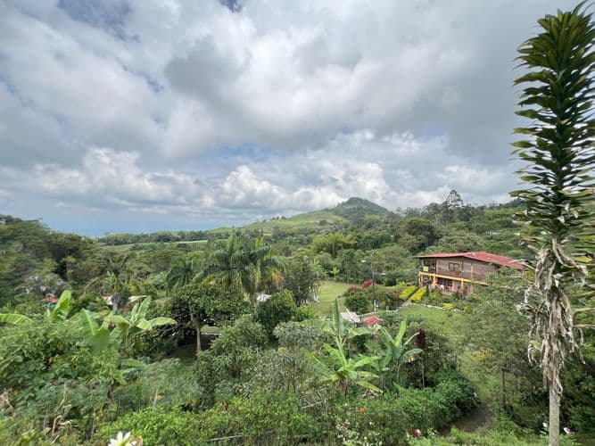 Finca en Venta en Potrerillo, Palmira - Imagen 1