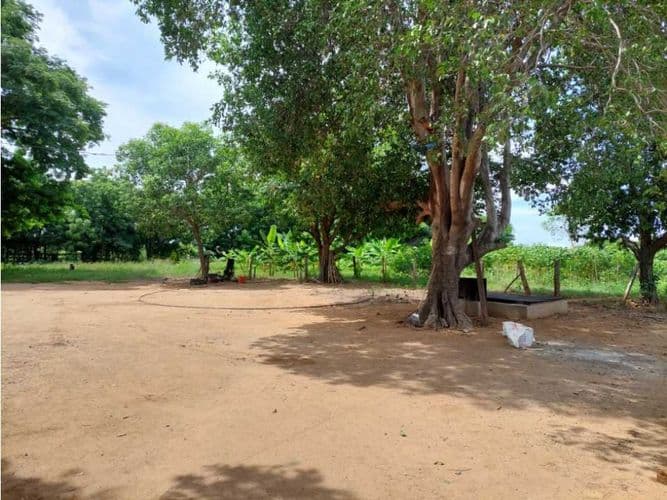 Finca en Venta en Los angeles, Valledupar - Imagen 1