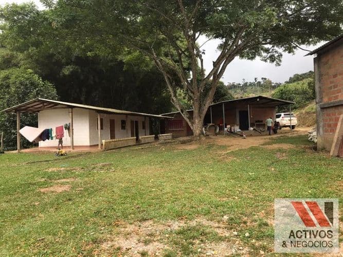 Finca en venta en La floresta, Maceo - Imagen 1