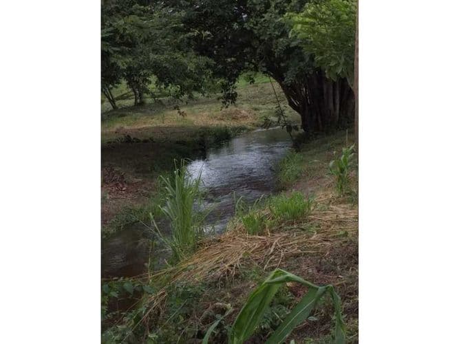 Finca en Venta en Santo Tomás, Santo tomas - Imagen 1