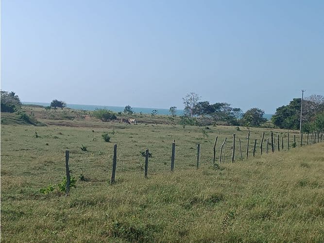 Finca en Venta en Puerto escondido - Imagen 1