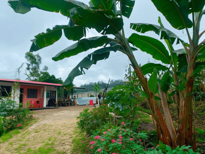 Finca en Venta - Imagen 1