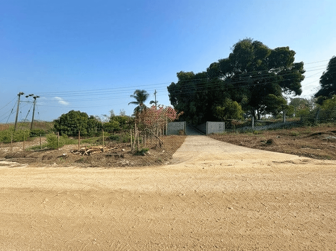 Finca en Venta en Hato nuevo, Corozal - Imagen 1
