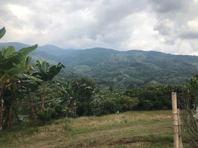 Finca en Venta en Valle del cauca, Guacarí - Imagen 1