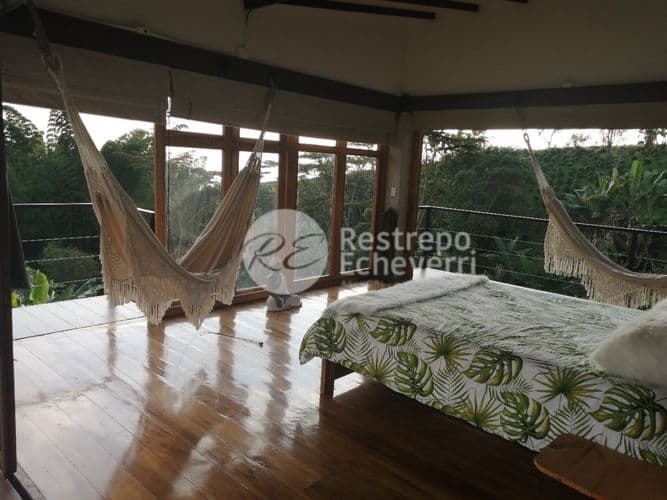 Finca en Venta en Palermo, Neira - Imagen 1
