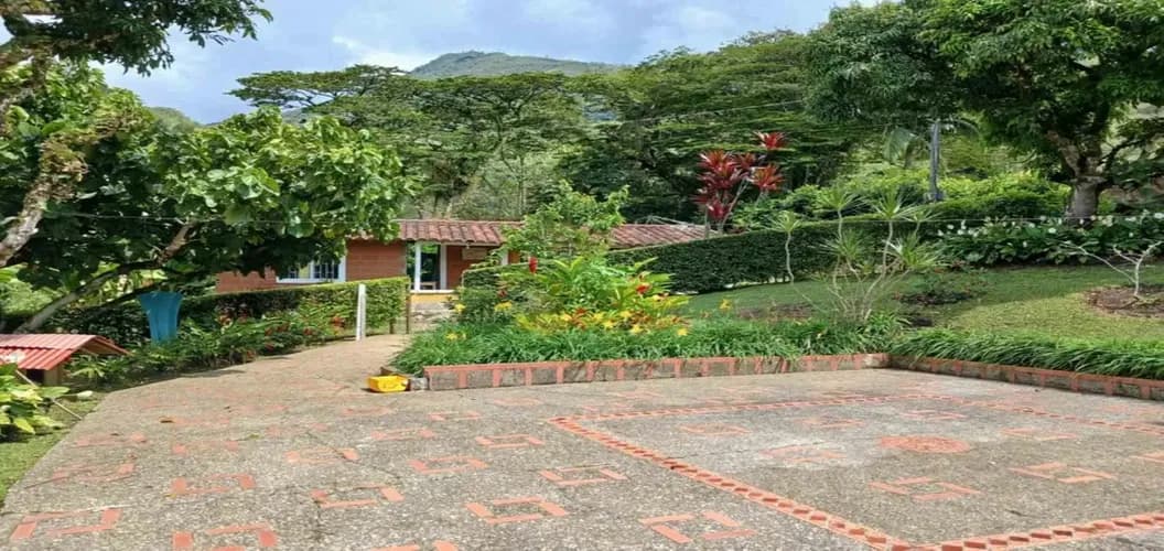 Finca en arriendo en Las lajas, San juan de uraba - Imagen 1
