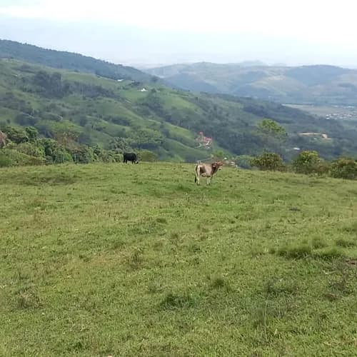 Finca en venta en Monterrey, Buga - Imagen 1