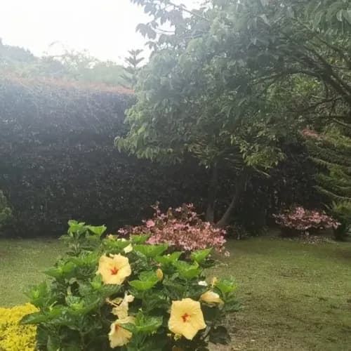 Finca en venta en Abreito, Rionegro - Imagen 1