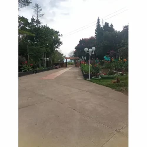 Finca en venta en Majadal bajo, Los santos - Imagen 1